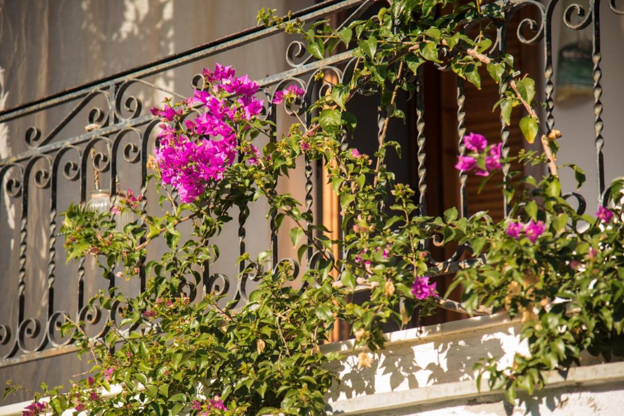 Seasidelongo Houses 1 Min From The Beach Of Nikiti מראה חיצוני תמונה